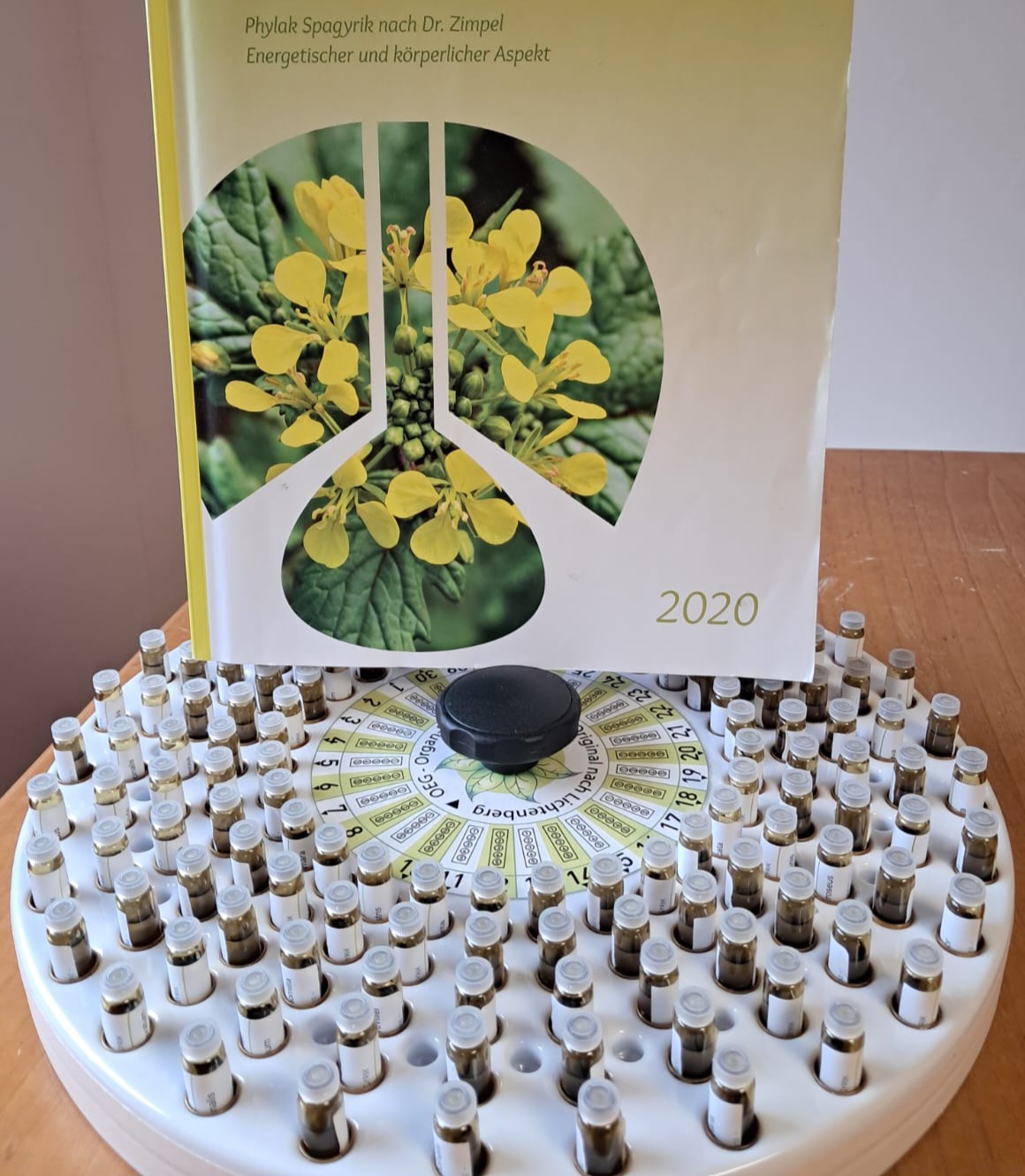 Modul 3 physische Schulung - 5 Stunden