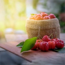 Acerola-Fruchtextrakt-Pulver 300g Dose