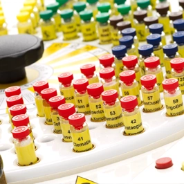 Modul 3 physische Schulung – 5 Stunden